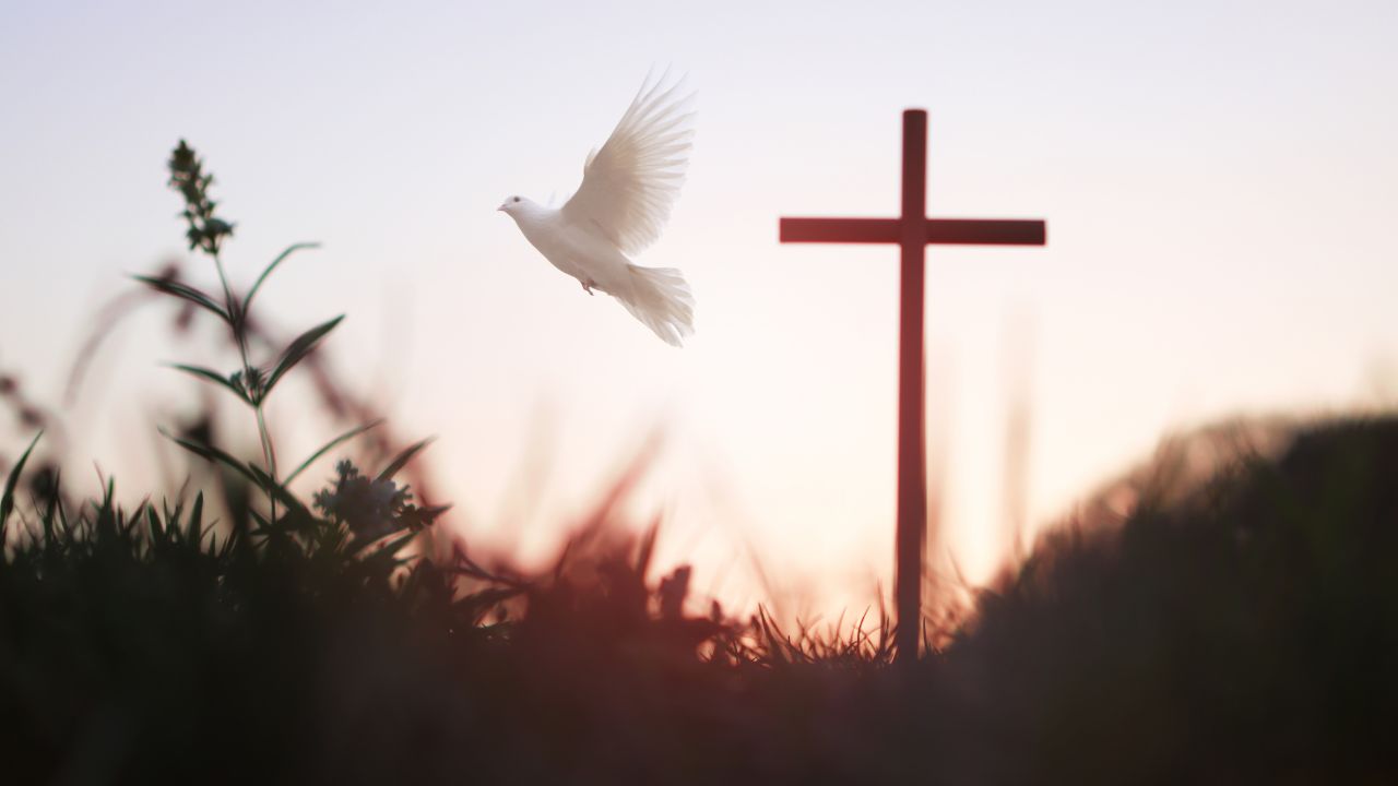 Whoever humbles himself will be exalted - Jesus Christ