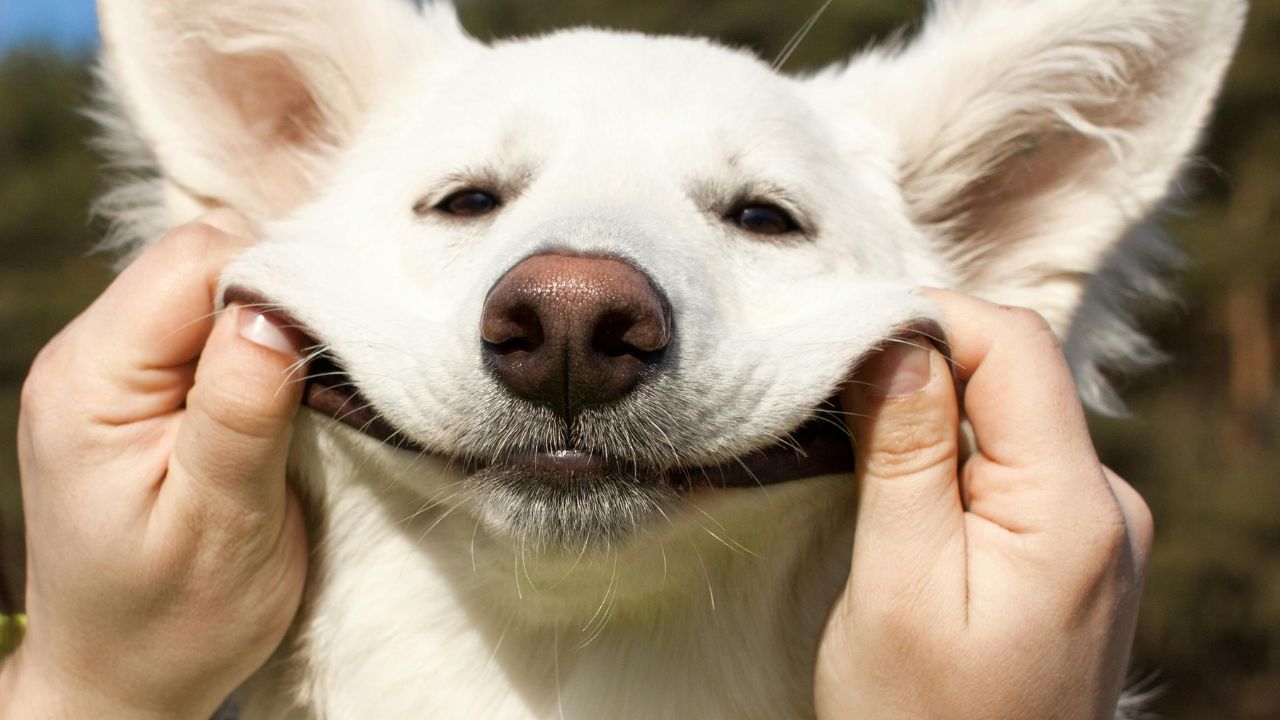 I’m not lazy, I’m on energy-saving mode - Anonymous