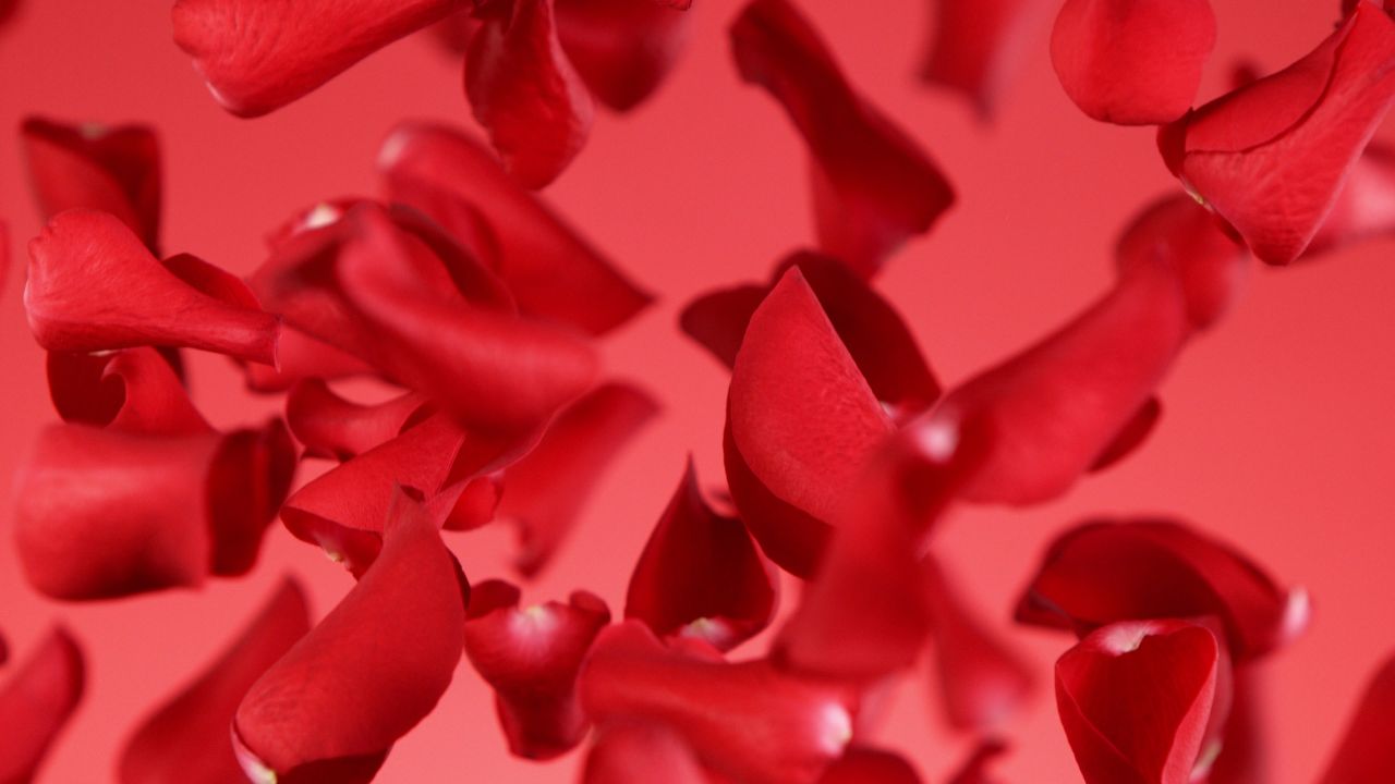 True love stories never have endings - Richard Bach