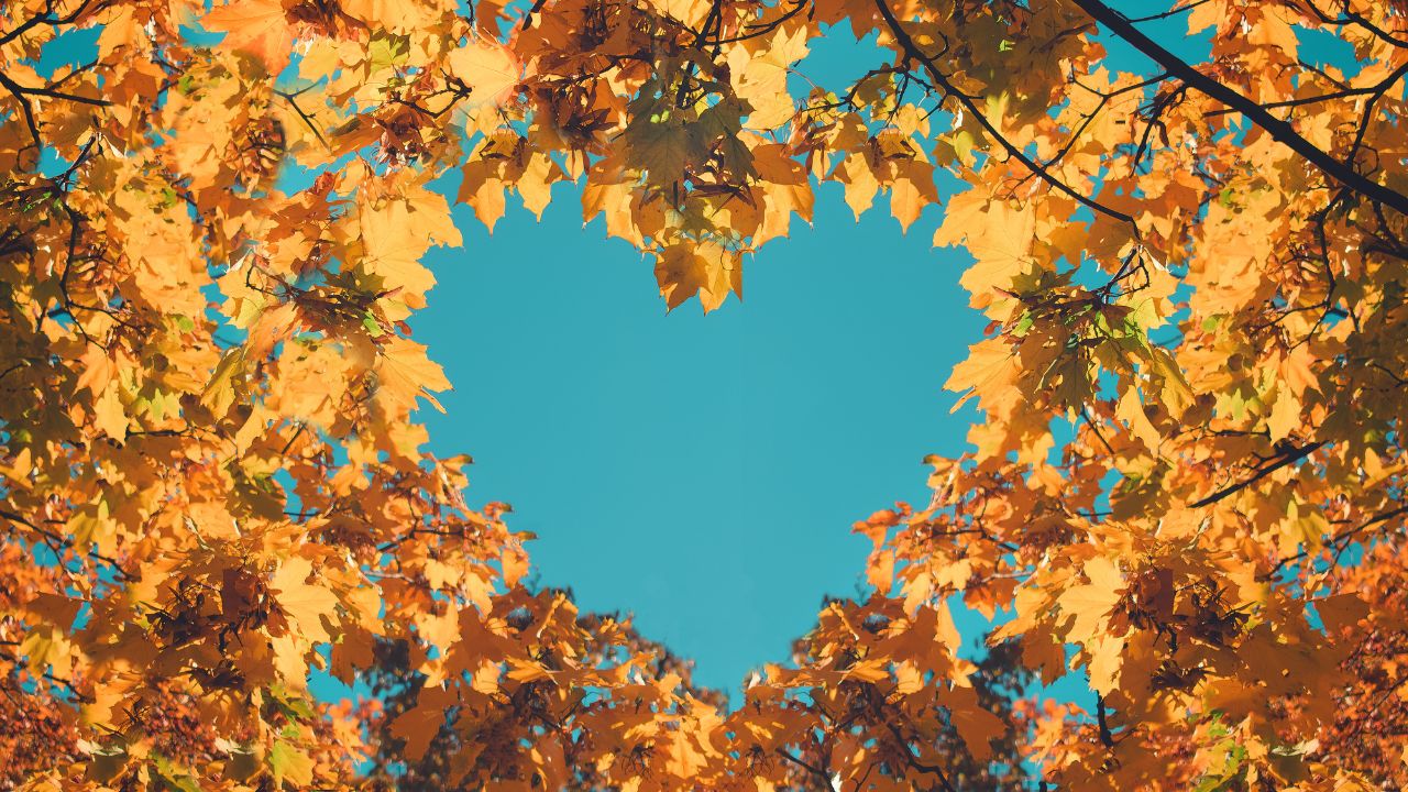 You don’t marry someone you can live with, you marry someone you cannot live without - Unknown
