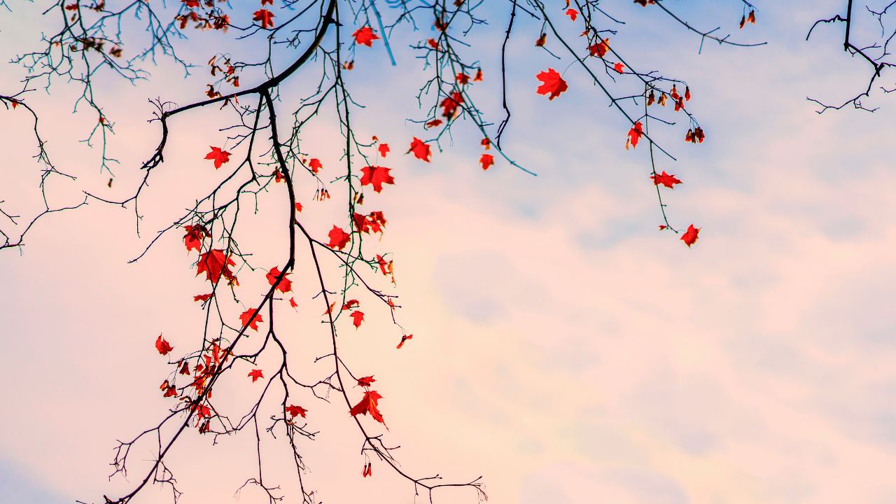 The giving of love is an education in itself - Eleanor Roosevelt