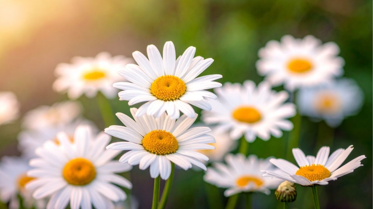 Hatred stirs up conflict, but love covers over all wrongs. - Bible