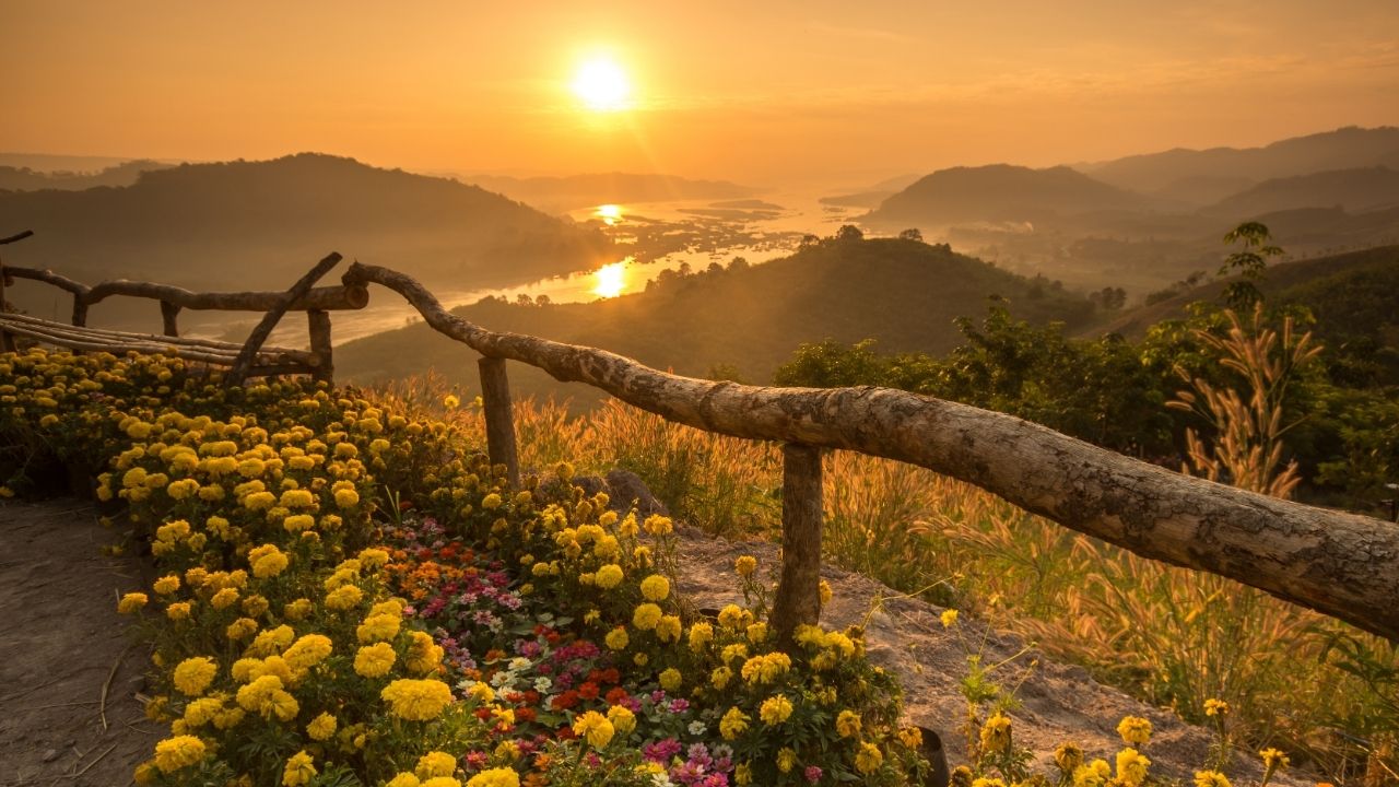 You shall love the Lord your God with all your heart. - Matthew 22:37