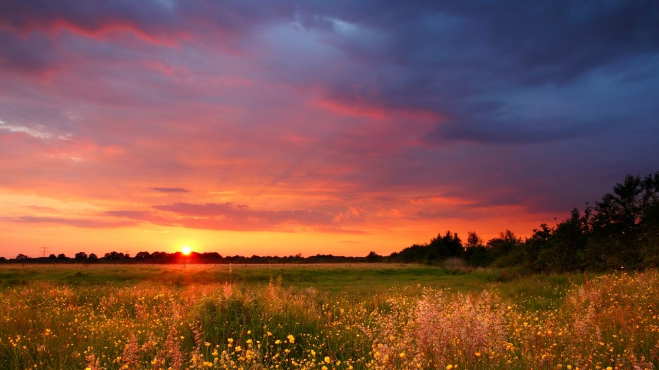 The harvest is plentiful, but the workers are few. - Matthew 9:37