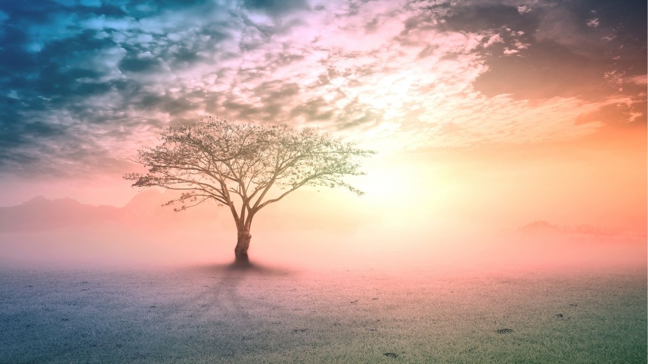 Life is what happens when you're busy making other plans. - John Lennon