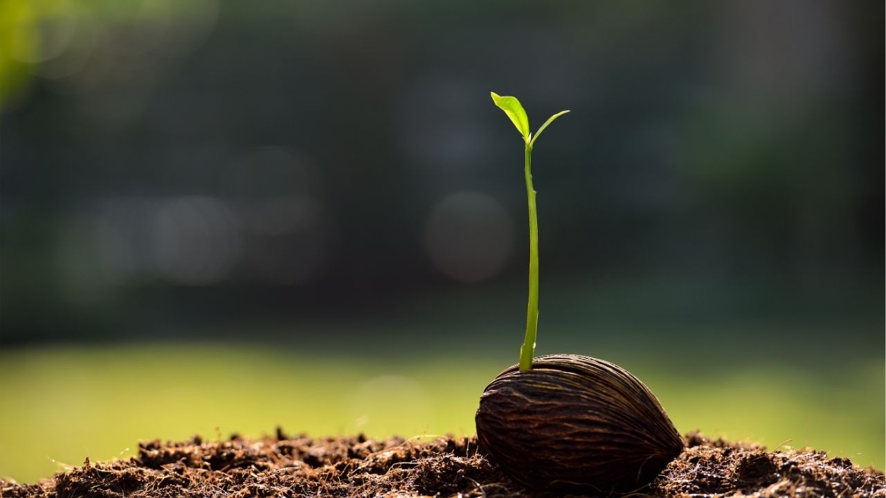 Keep going. Everything you need will come to you at the perfect time. - Unknown