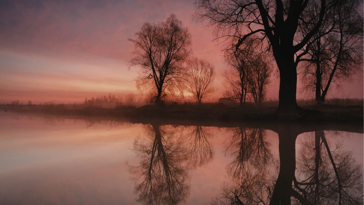 Every day is a second chance. - Unknown