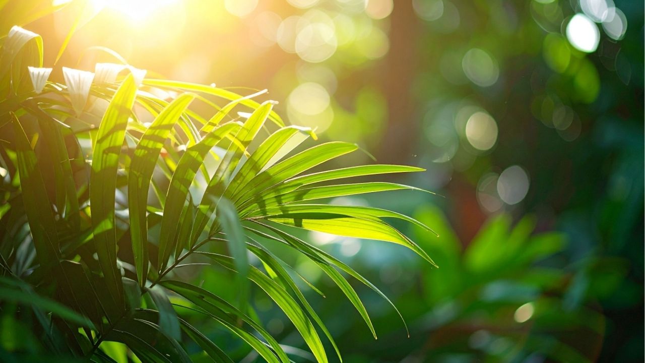 Life is not about being busy, it is about being productive. - Unknown