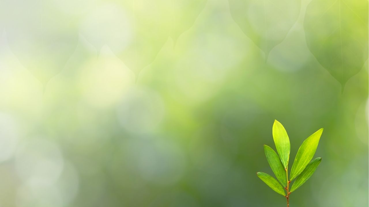 The best way to predict your future is to create it. - Peter Drucker