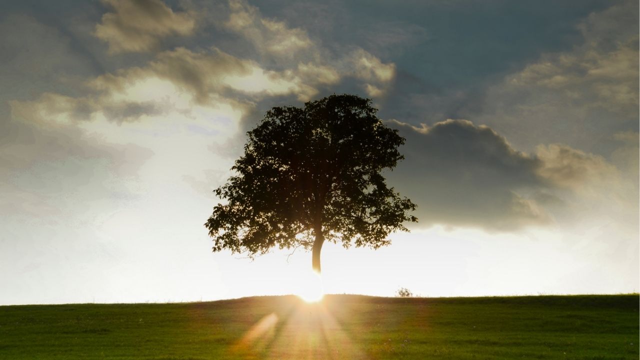 Life is not about finding the right person, but creating the right relationship. - Unknown