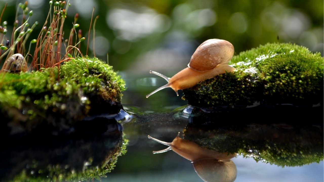 In the end, we only regret the chances we didn't take. - Lewis Carroll (attributed)