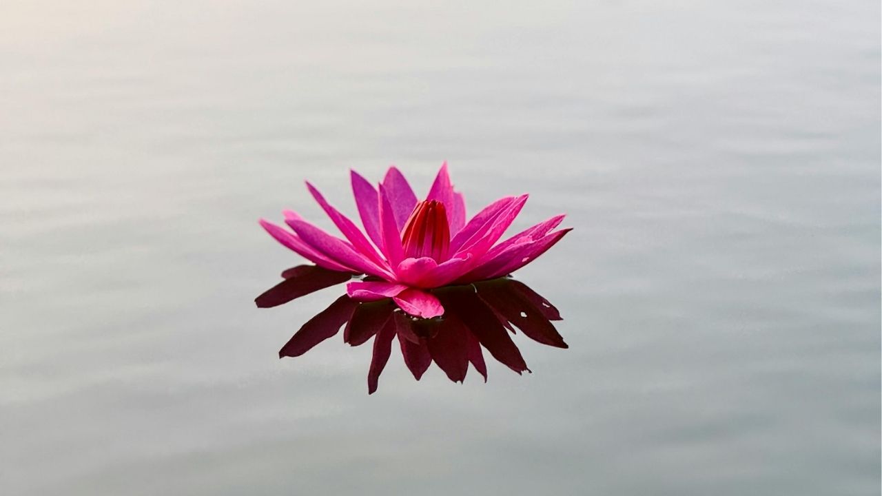 Every moment is a fresh beginning. - T.S. Eliot