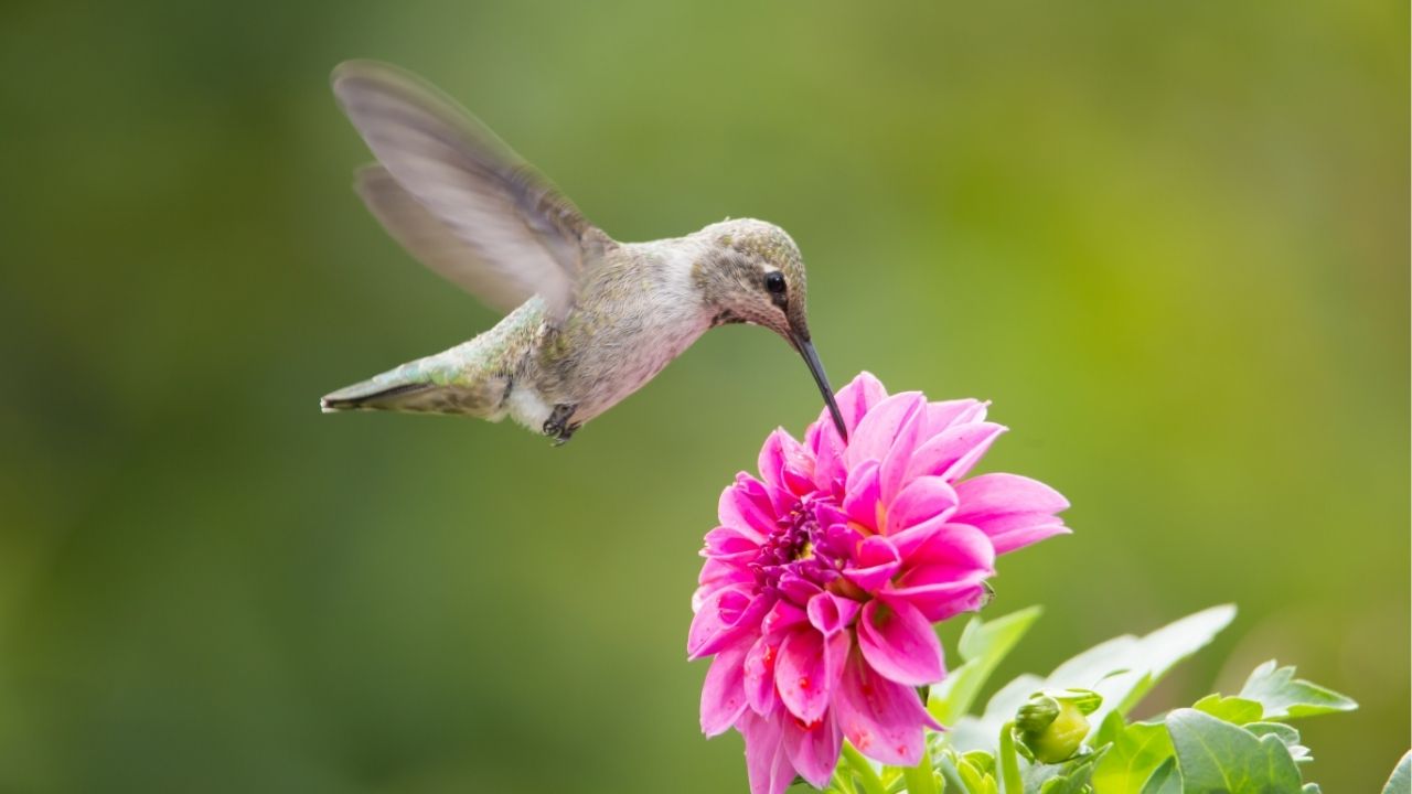 Life is a succession of lessons which must be lived to be understood. - Ralph Waldo Emerson