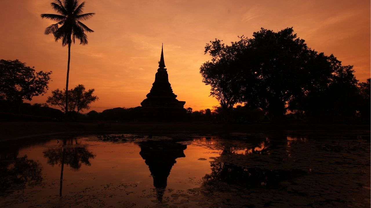 Success doesn’t just find you. You have to go out and get it. - Unknown